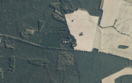 HANADAHEHEMANN, Adresse: FAHRBEREITSCHAFT – Herzbergstraße 40-43, 10365 Berlin